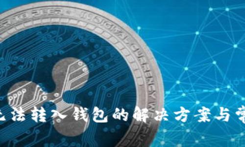 biasiUSDK无法转入钱包的解决方案与常见问题解析