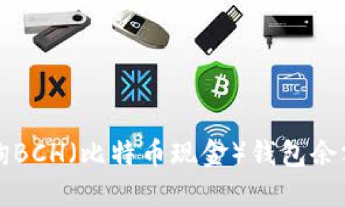 如何高效查询BCH（比特币现金）钱包余额与交易记录