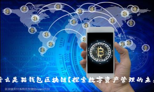 什么是猫钱包区块链？探索数字资产管理的未来