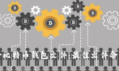 如何安全备份比特币钱包文件：最佳文件命名实践与技巧