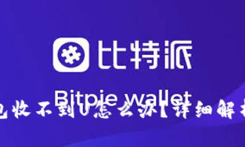 加密货币钱包收不到U怎么办？详细解析与解决方案