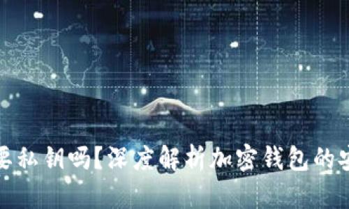 加密货币钱包需要私钥吗？深度解析加密钱包的安全性与隐私保护