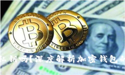 加密货币钱包需要私钥吗？深度解析加密钱包的安全性与隐私保护