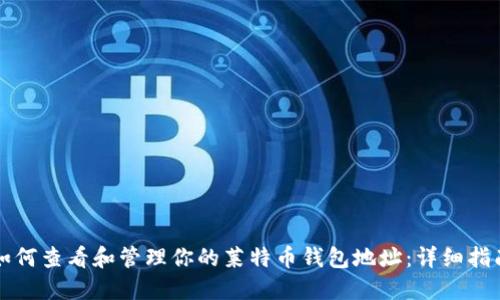 如何查看和管理你的莱特币钱包地址：详细指南