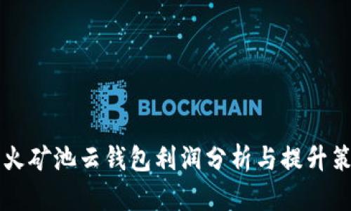 星火矿池云钱包利润分析与提升策略