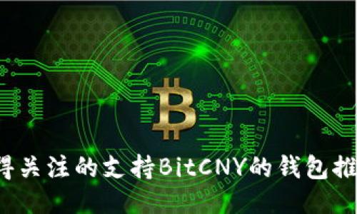 2023年最值得关注的支持BitCNY的钱包推荐及使用指南