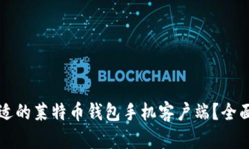 如何选择合适的莱特币钱包手机客户端？全面指南与推荐