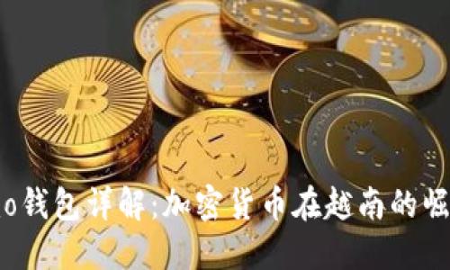 越南Momo钱包详解：加密货币在越南的崛起与应用