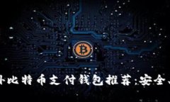 2023年最新国外比特币支付
