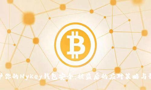 如何保护你的MyKey钱包安全：被盗后的应对策略与预防措施
