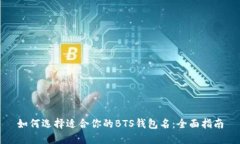 如何选择适合你的BTS钱包