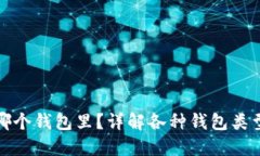 加密货币放哪个钱包里？