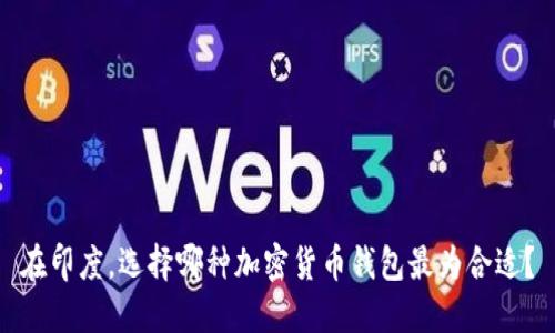 在印度，选择哪种加密货币钱包最为合适？