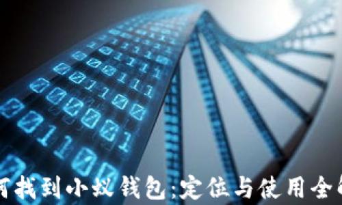 
如何找到小蚁钱包：定位与使用全解析