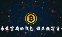 探索比特币最富有的钱包