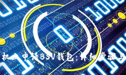 如何在苹果手机上申请BSV钱包：详细步骤与常见问题解答
