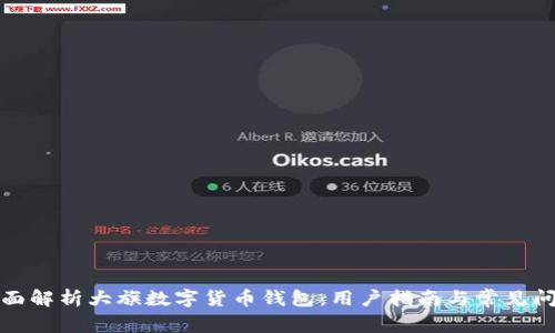 全面解析大旗数字货币钱包：用户指南与常见问题