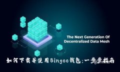 如何下载并使用Bingoo钱包：一步步指南