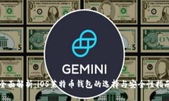 全面解析：iOS莱特币钱包的选择与安全性指南