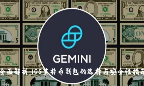 全面解析：iOS莱特币钱包的选择与安全性指南