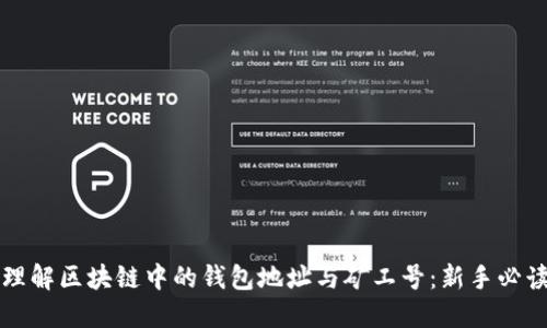 如何理解区块链中的钱包地址与矿工号：新手必读指南