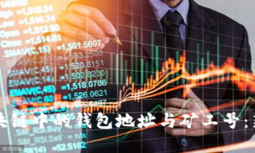 如何理解区块链中的钱包地址与矿工号：新手必读指南